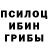 Бошки Шишки OG Kush Biba Cvetok