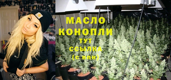 мет Новодвинск