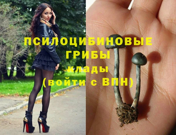 Альфа ПВП Новокубанск
