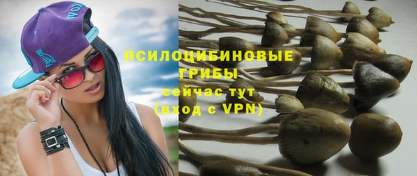 мет Новодвинск