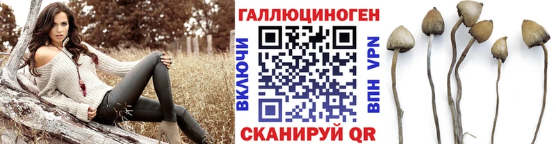 Галлюциногенные грибы Cubensis  Купить  Котовск 
